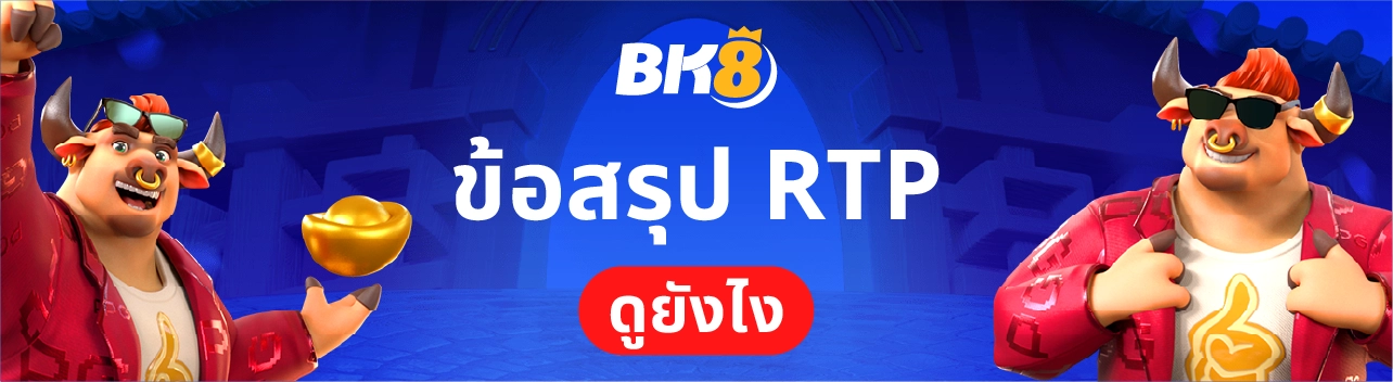ข้อสรุป RTP